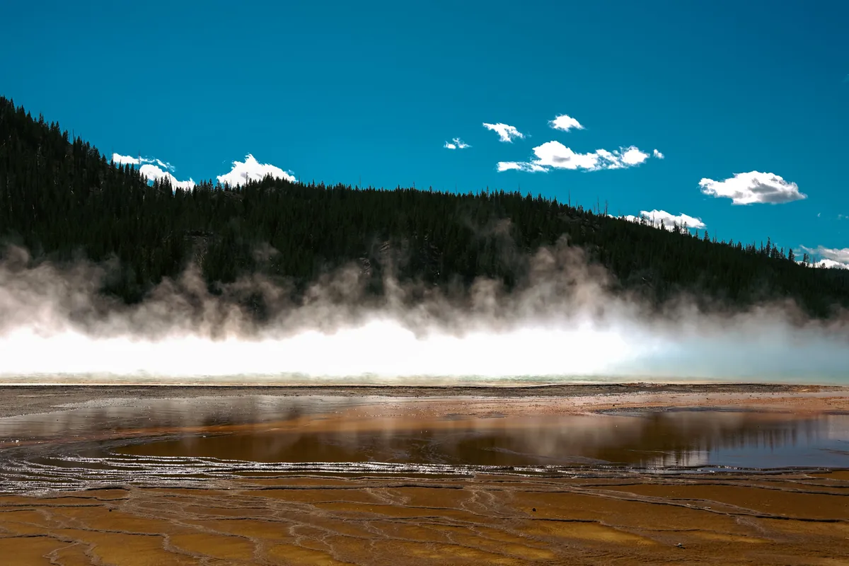 Steam rising off a colorful hot spring beneath a forested ridge