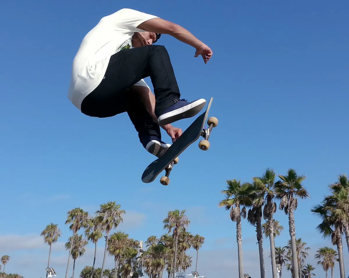 Skateboarder in mid-air above a row of palm trees
