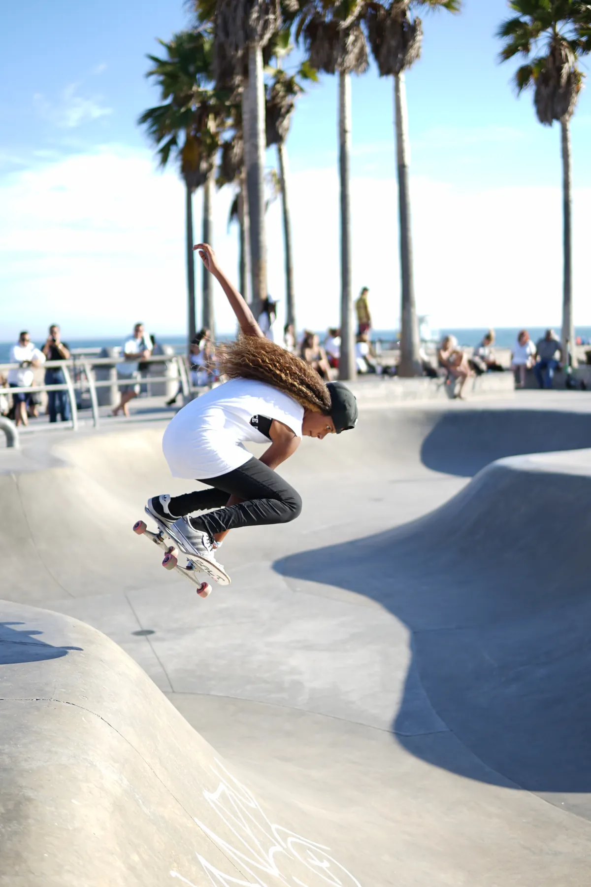 Skateboarder riding a concrete bowl beneath palm trees